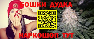 spice Новокубанск