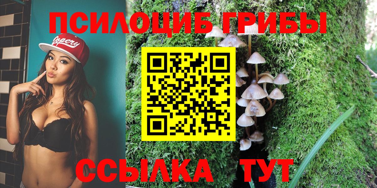 Псилоцибиновые грибы Magic Shrooms  Вход с VPN  где можно купить наркотик  Соликамск 